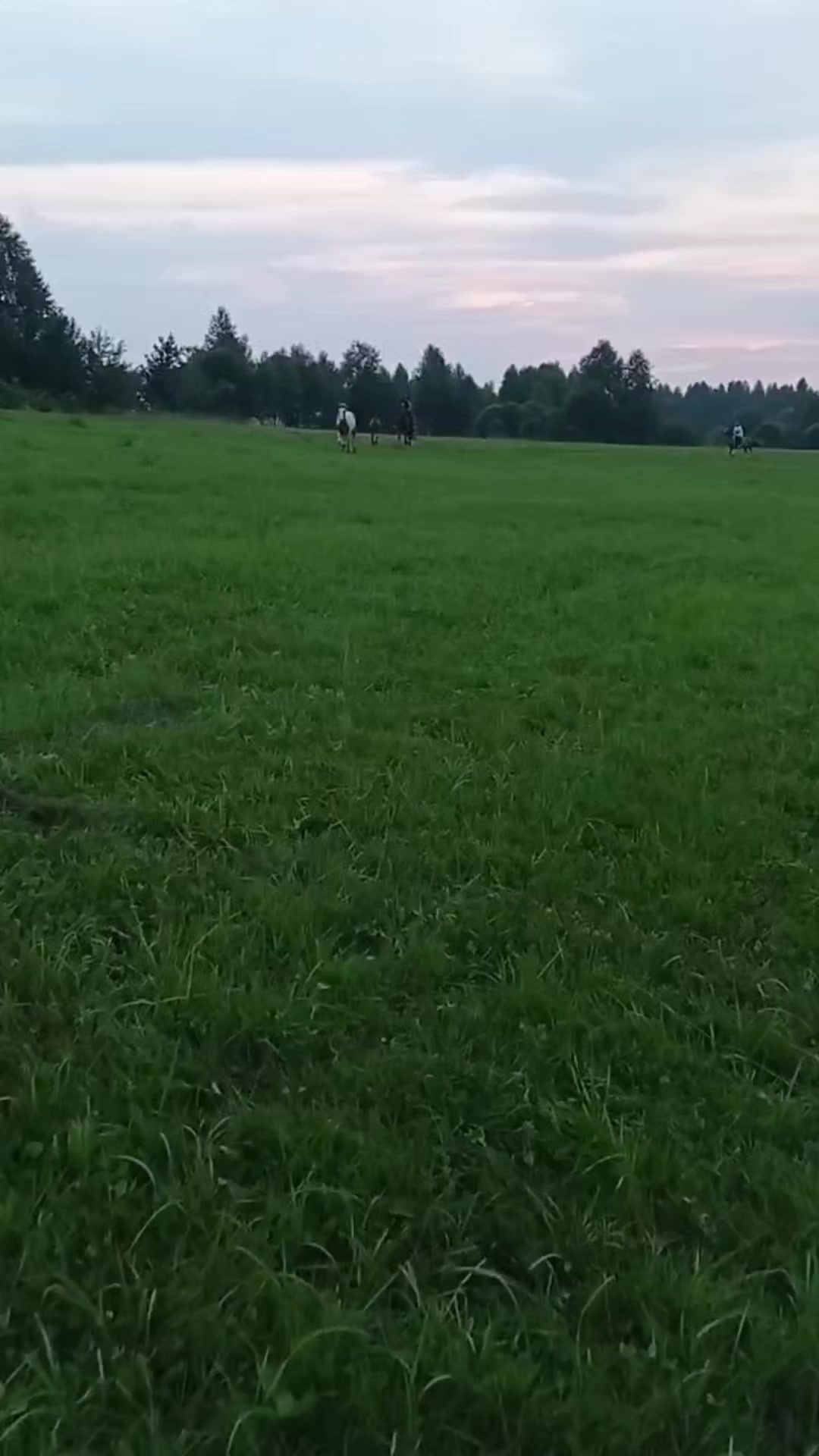 @Бурмакина Дарья