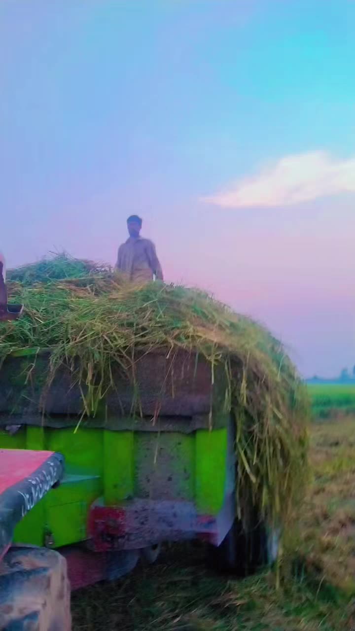 @Haji Rashid Jutt