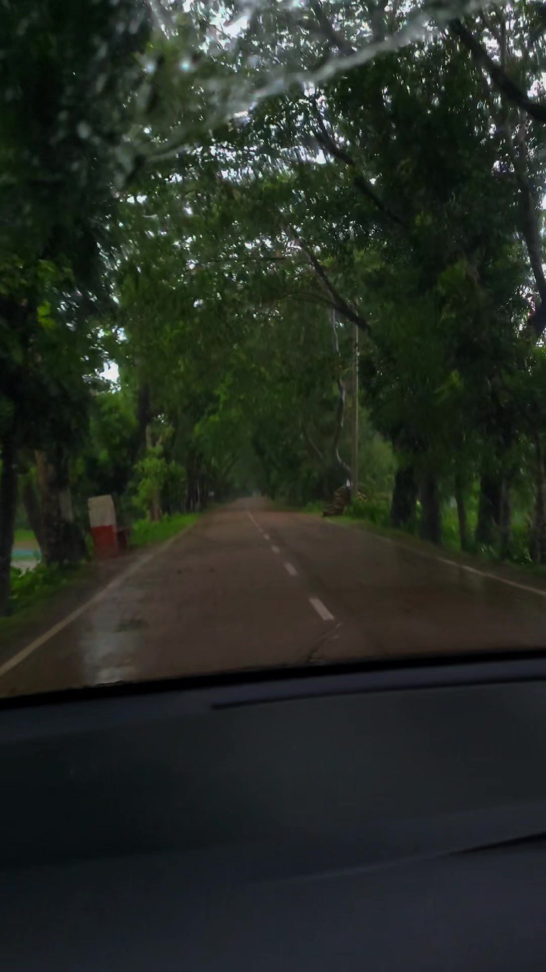 @Close to Nature. đ§đŠ