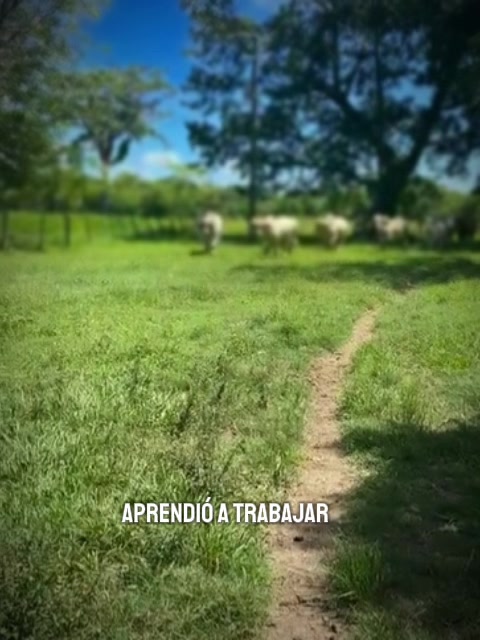 @eduar
