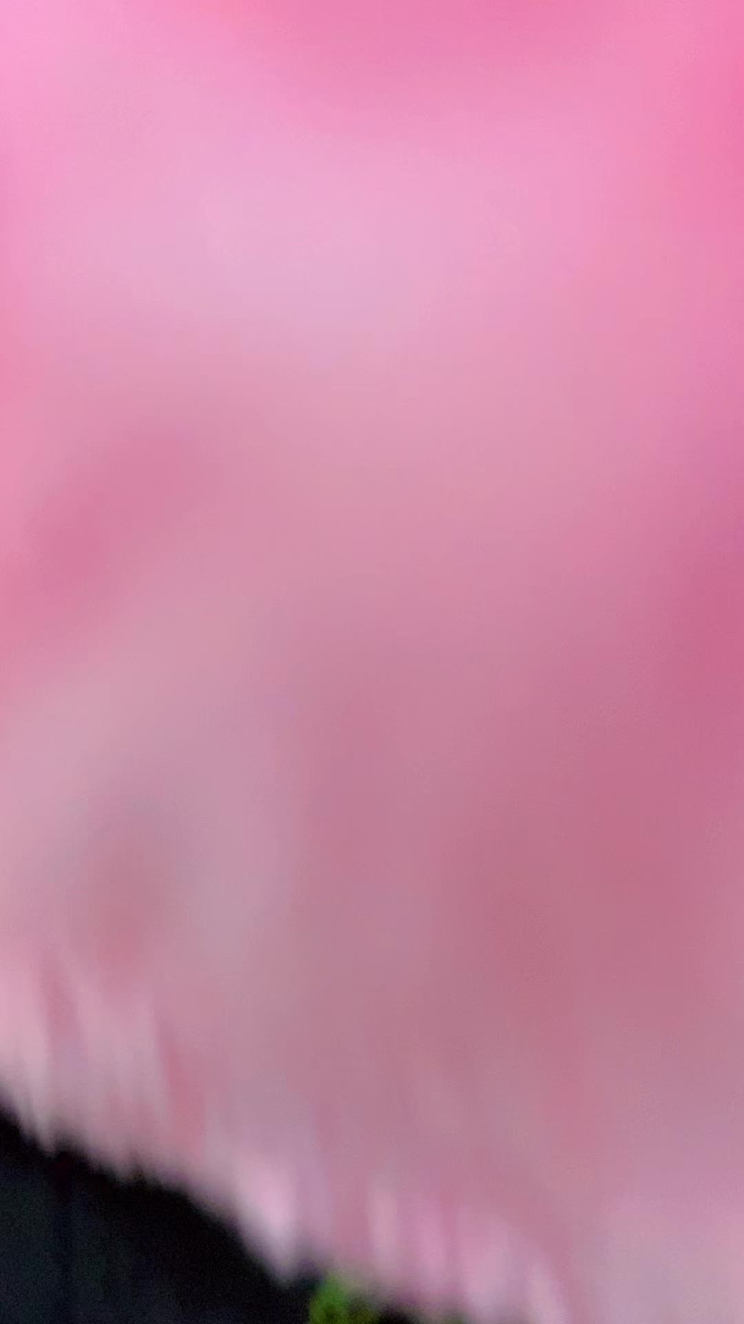 @PRANJU$🧿