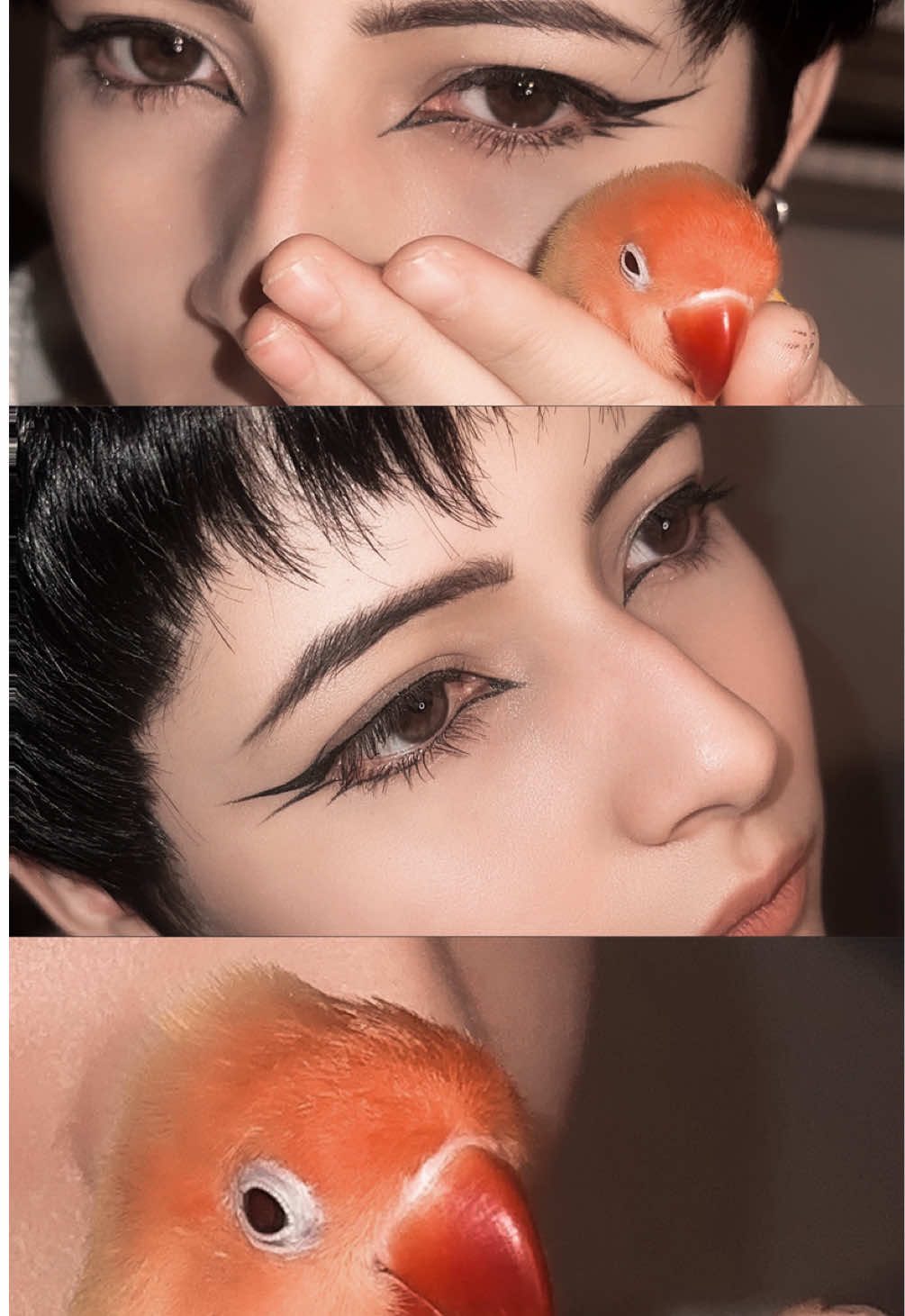 @- Ryuk -