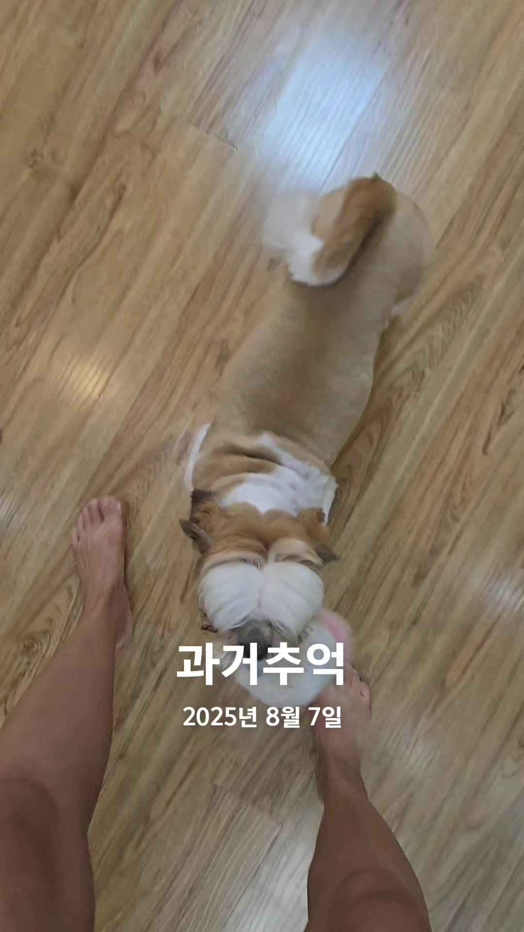 @키키맘