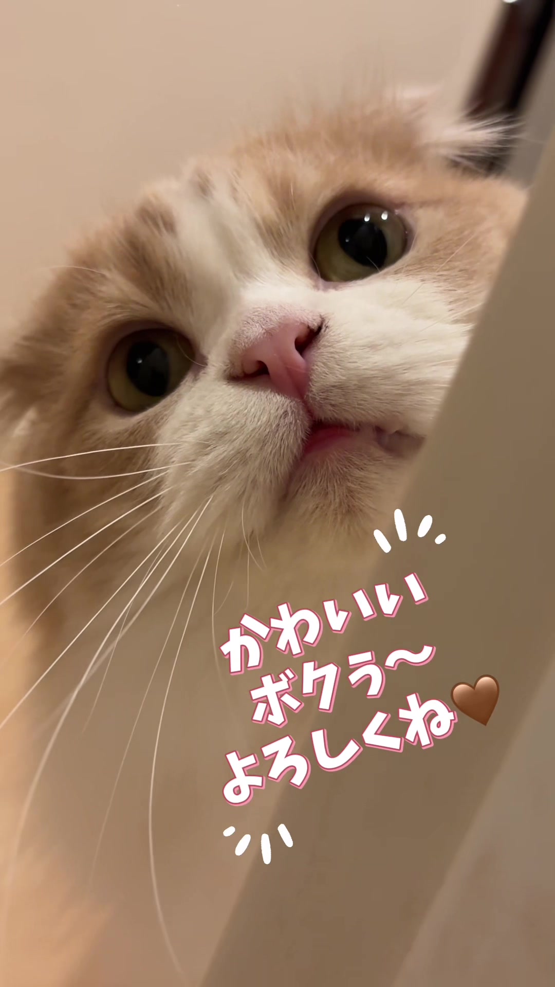 @くるラテ