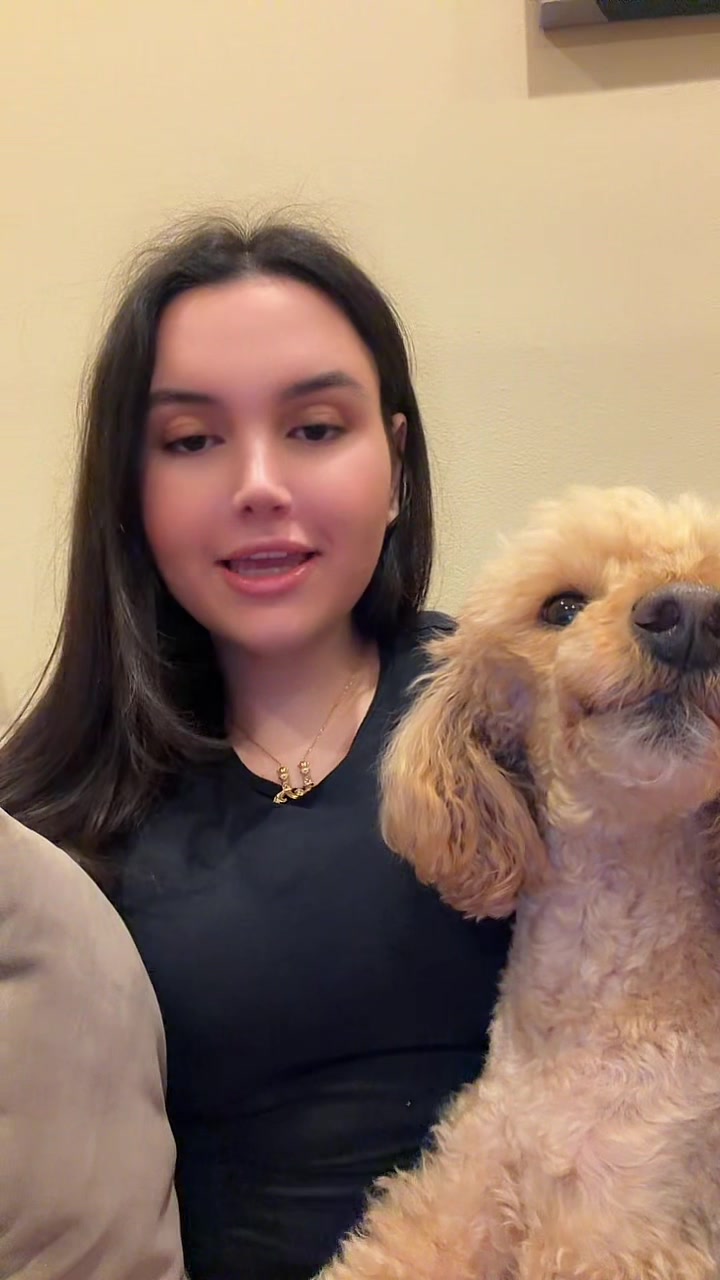 @NikoThePoodle
