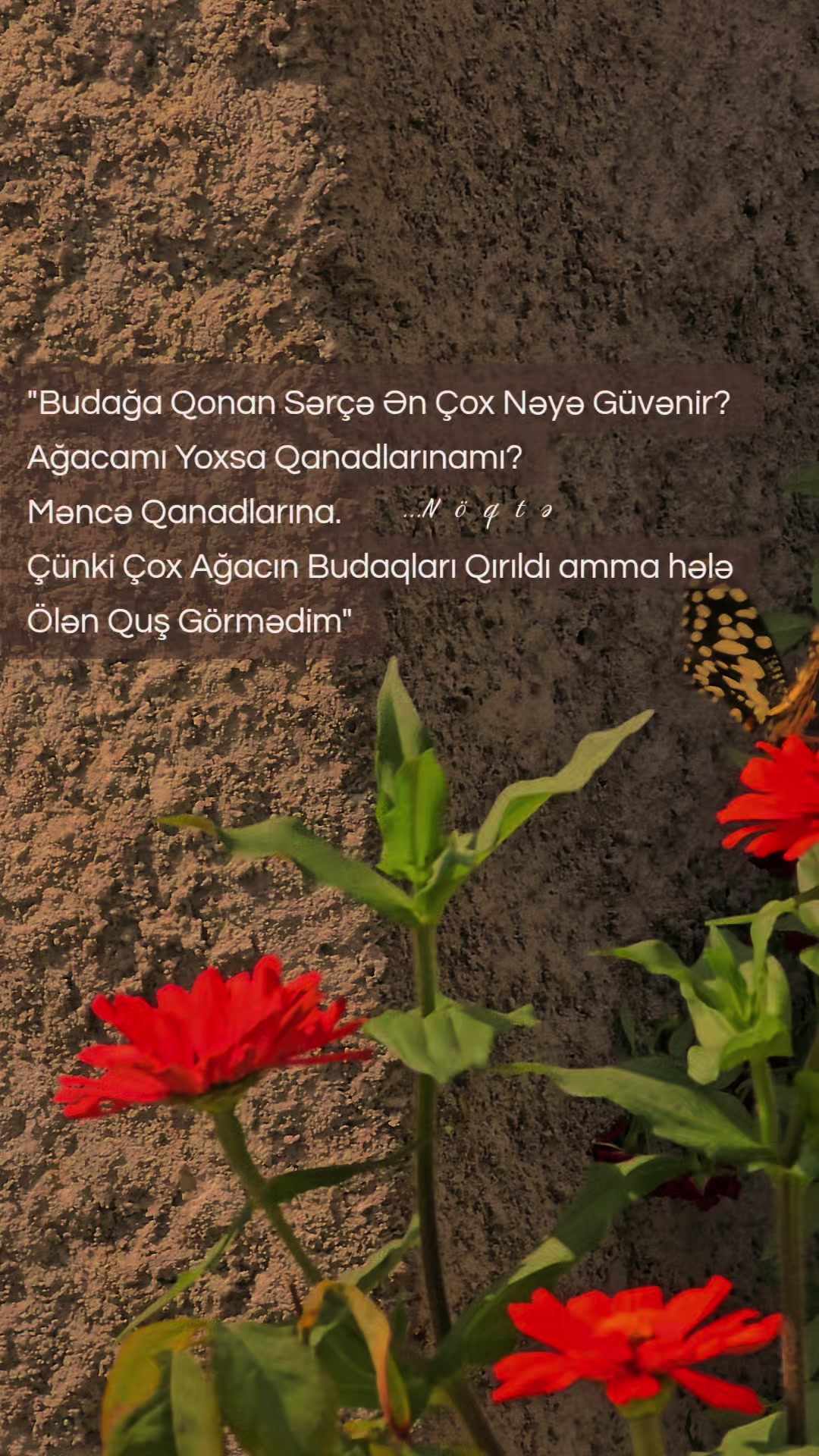 @...Noqte