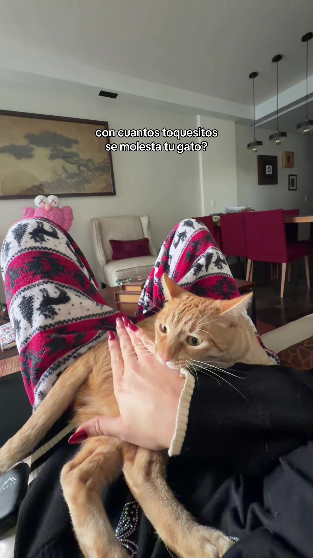 @mari