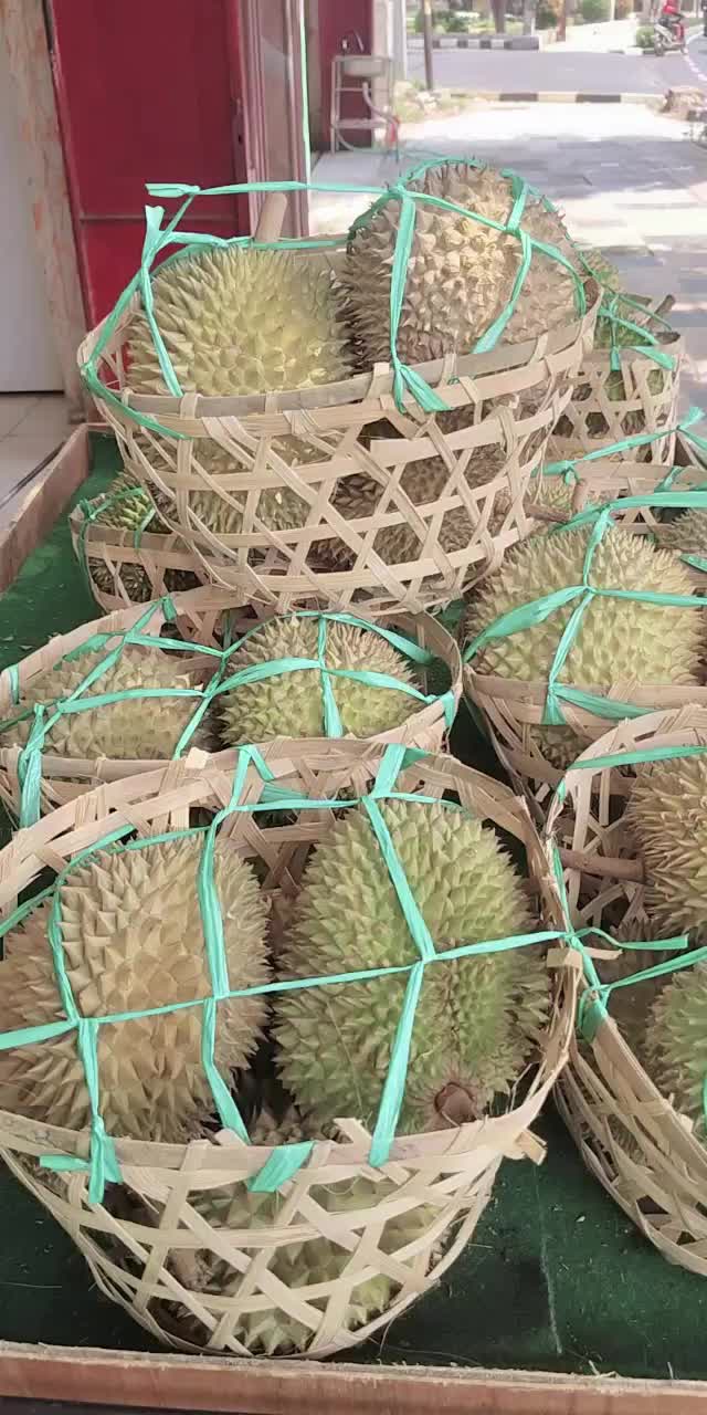@Kenzhi Durian Tuban
