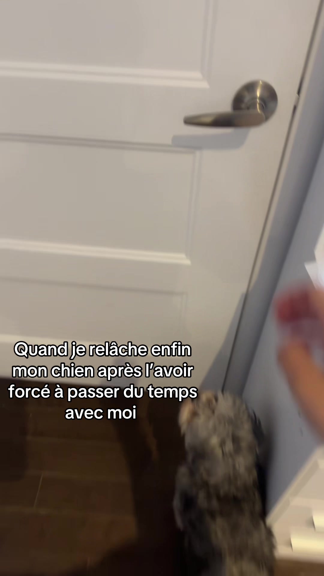 @kiki_spam