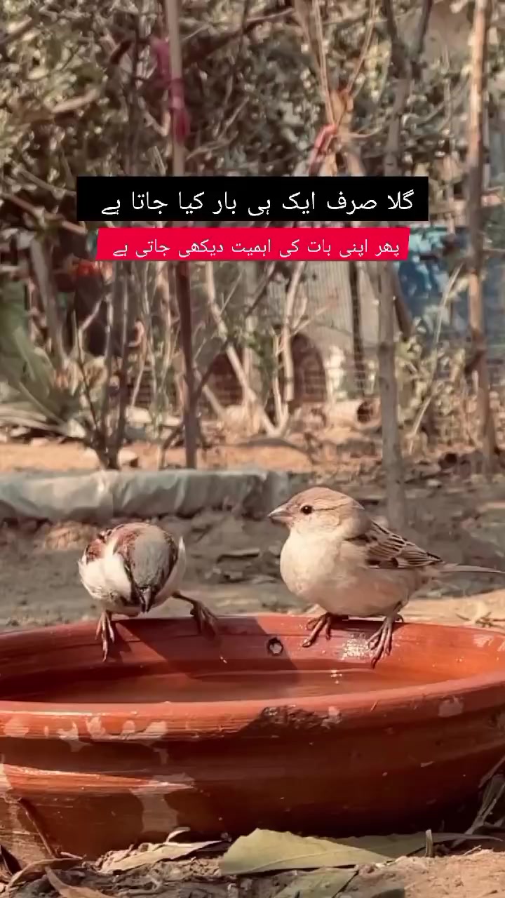 @Mr BiLAL...❤️