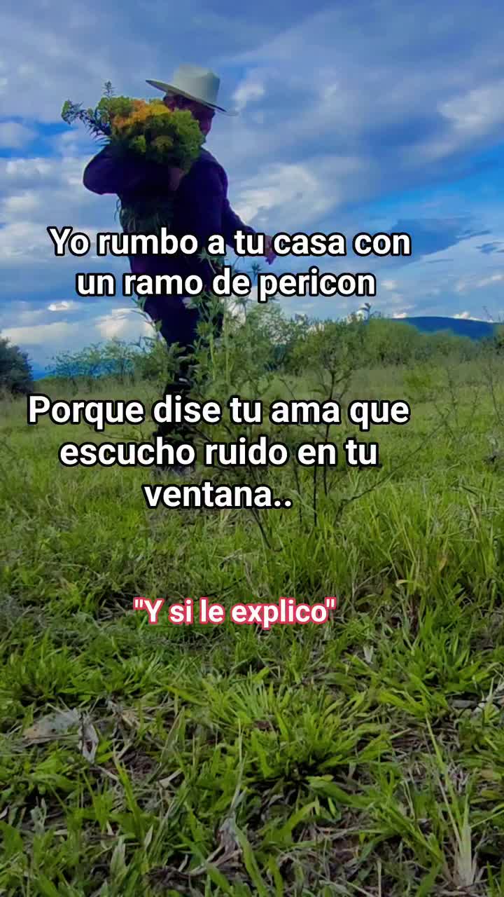 @Pedro salvador