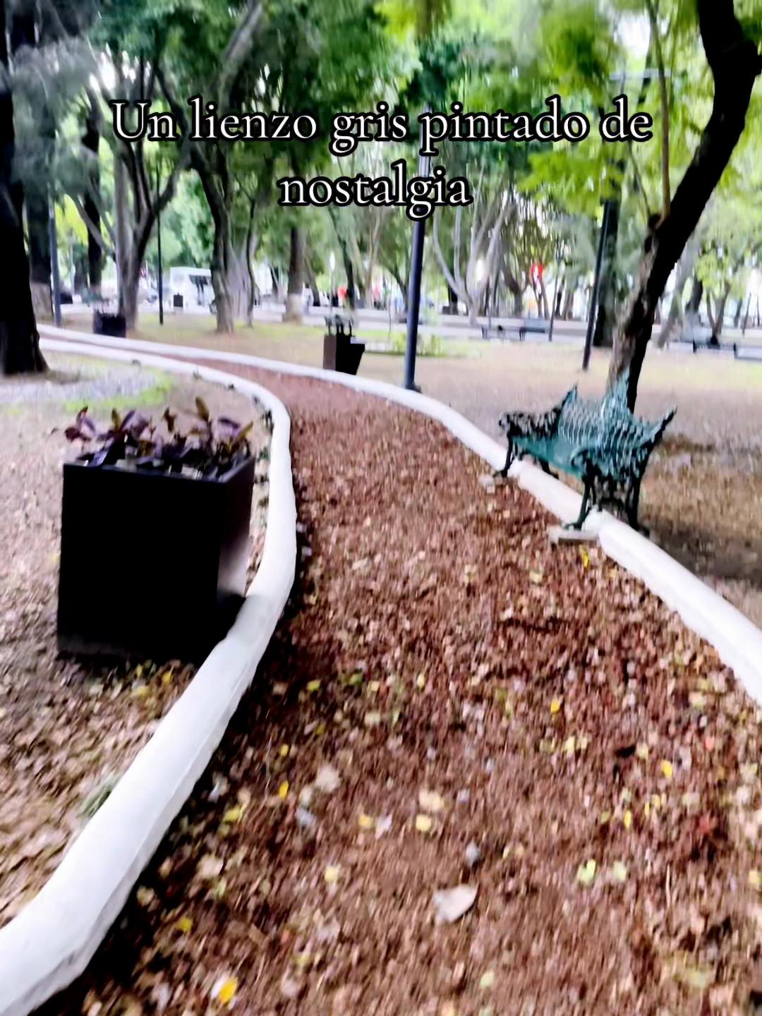 @๐ท๐โฐ๐๐พ ๐ข๐ถ๐๐๐ถ๐ ๐๐ท