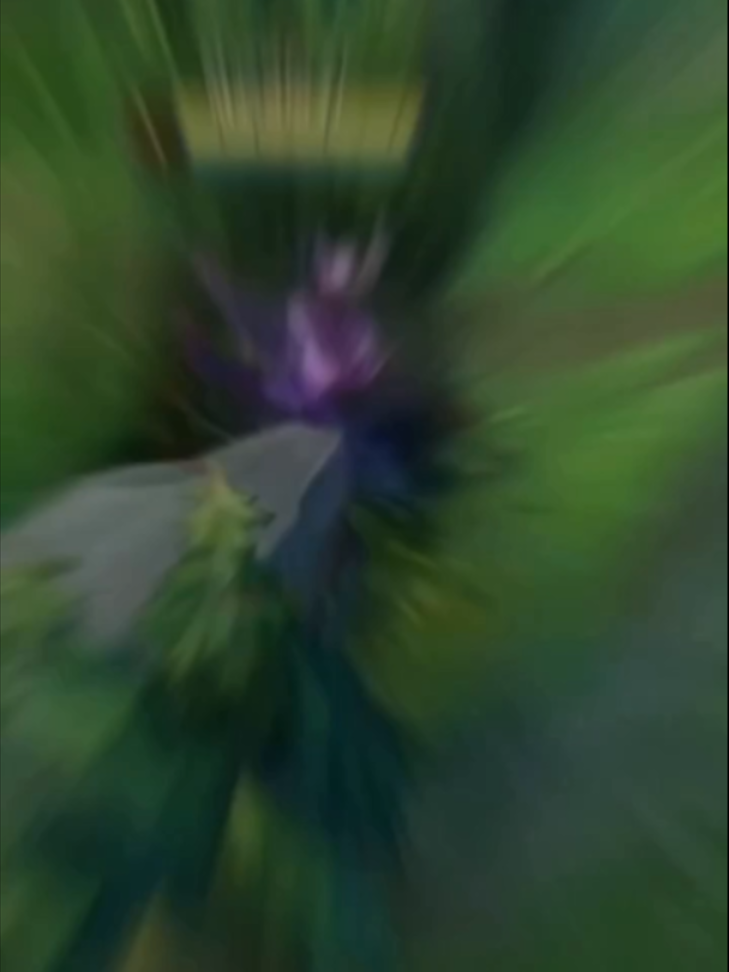 @League of Rito
