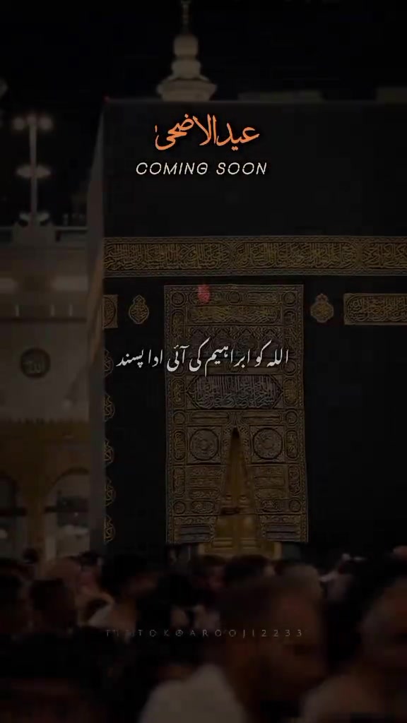 @Mr.Huzaifa