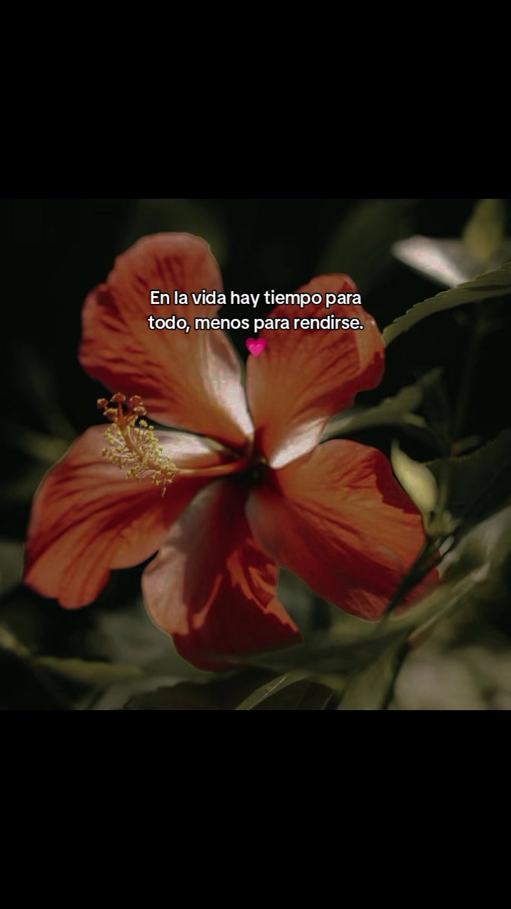 @Soy el Samy&mdash;_&mdash;@ Plan agrario