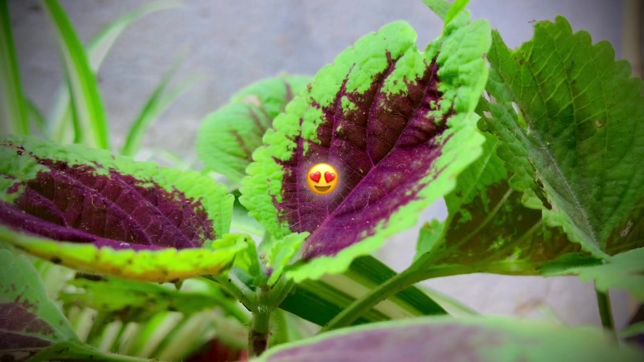 @๐
