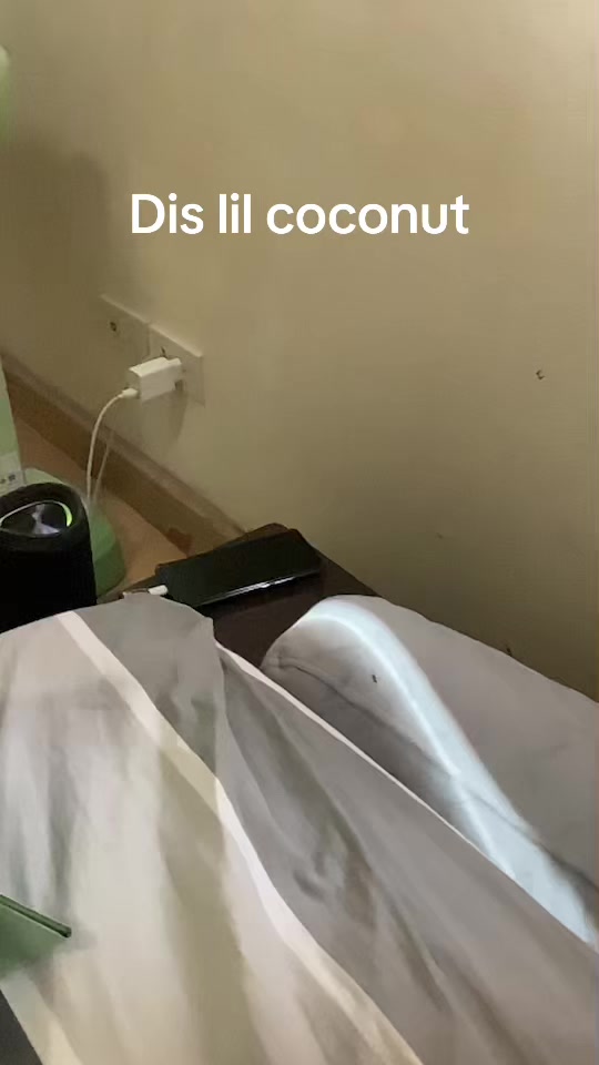 @Lemon_the_cockatiel
