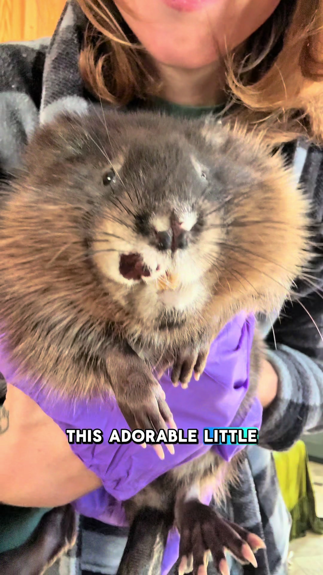 @Wild For Life Inc.