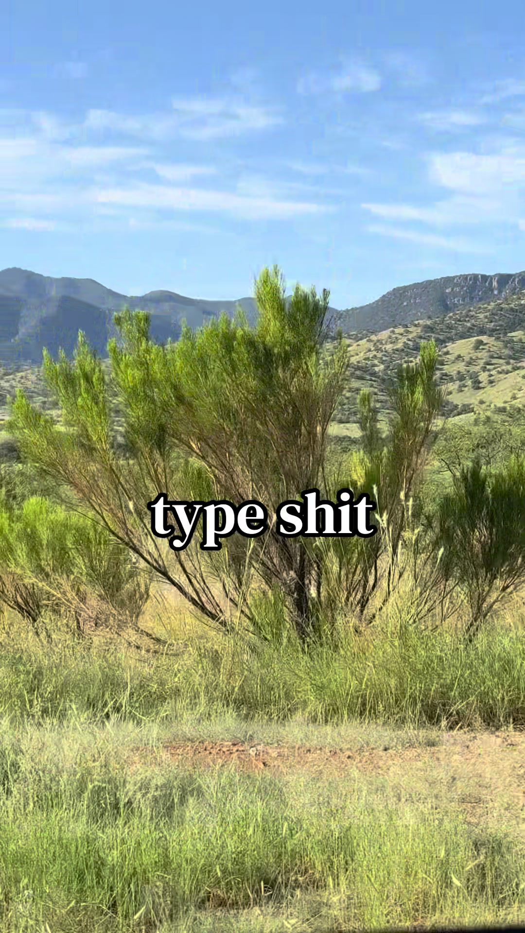 @Courtney Dawn