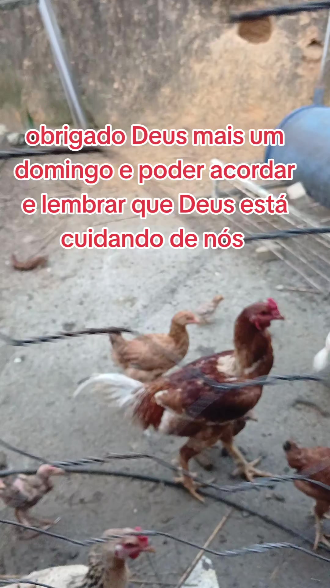 @ELIZEU Batista