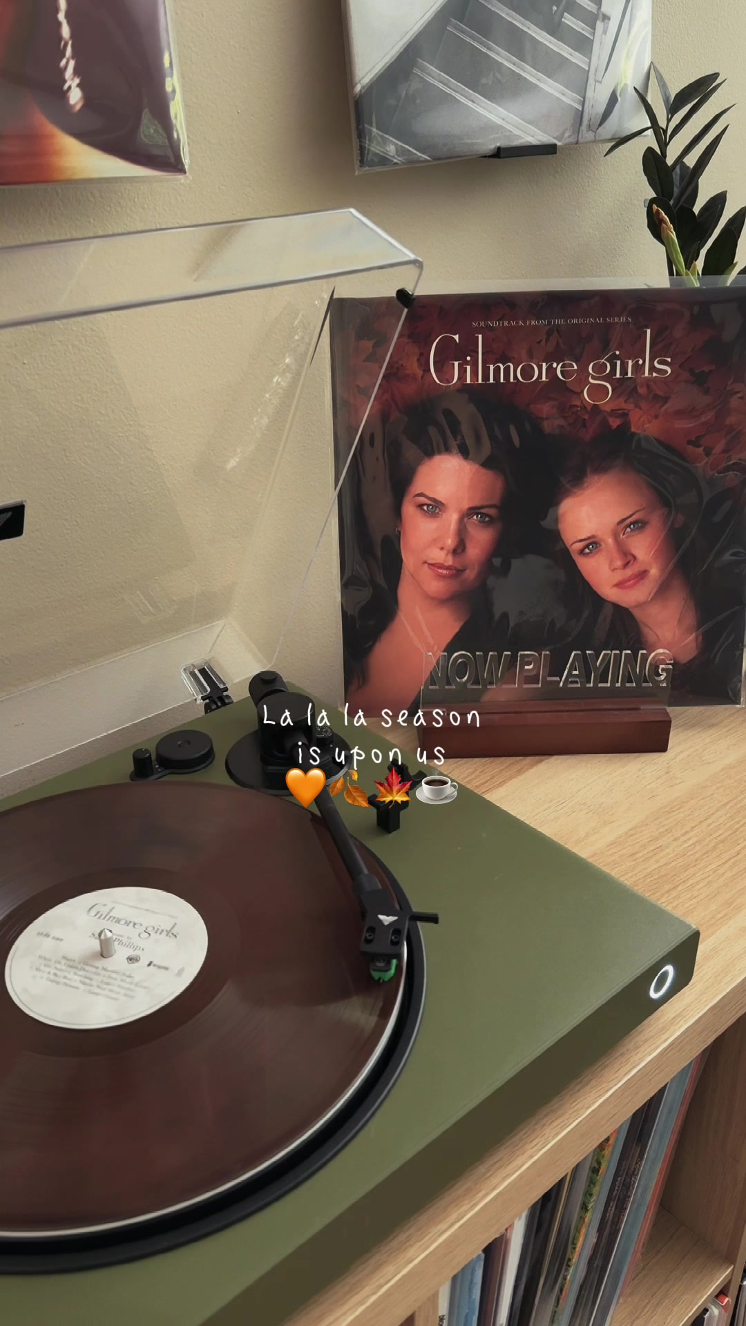 @Sam | Vinyl Record Collector