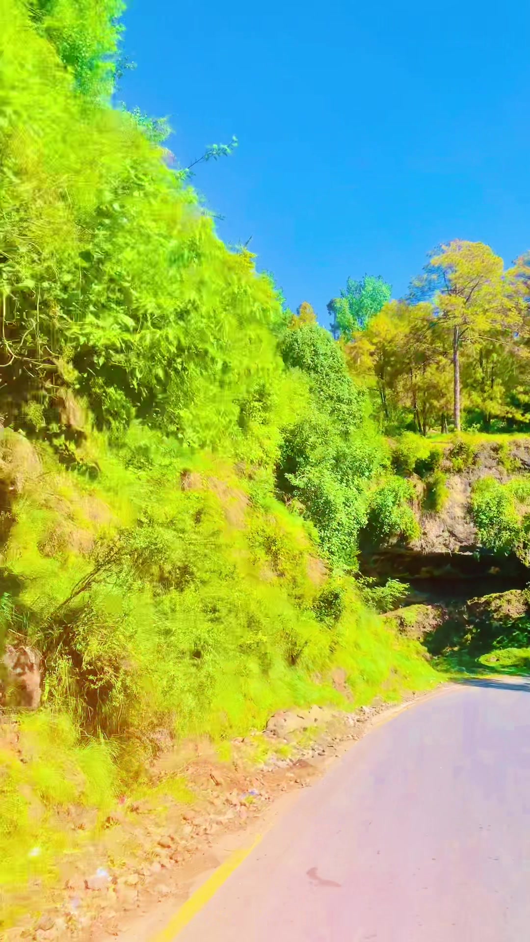 @کشمیری لوگ🏔️🦋