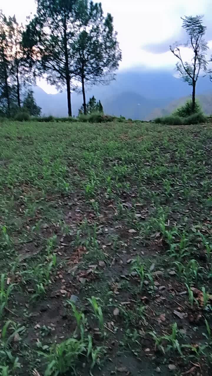 @AJ khan
