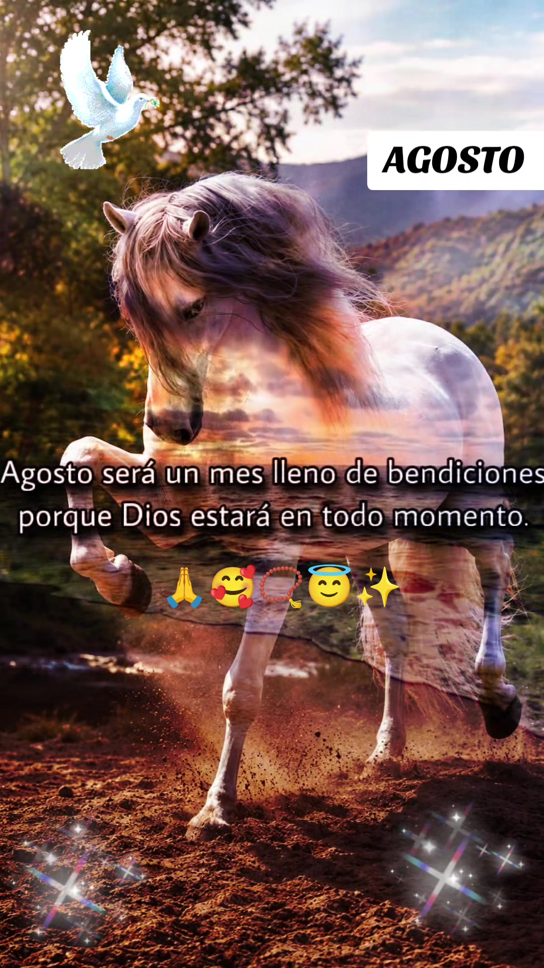 @Abigail 🇪🇨❤️