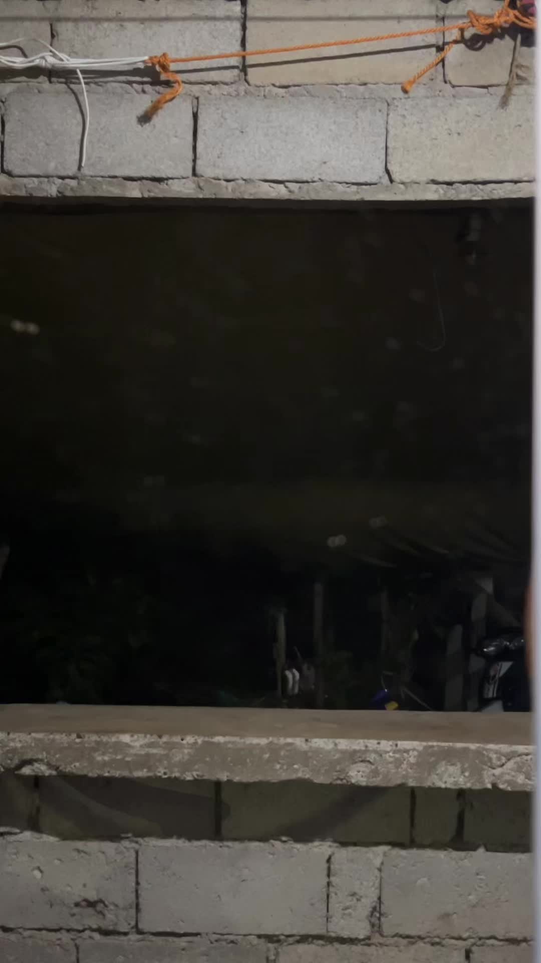 @bulkzilla01