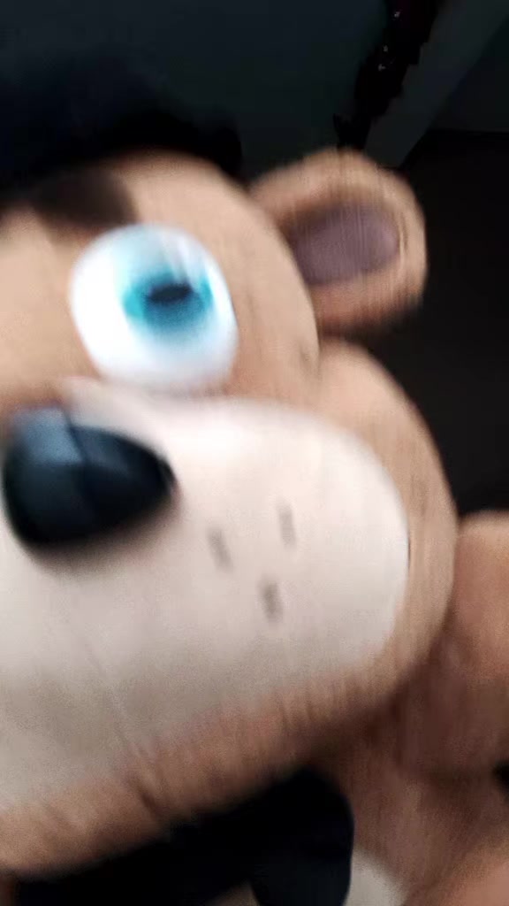 @𑣲ᴀ ɴ x'ᴋɪʀɪ