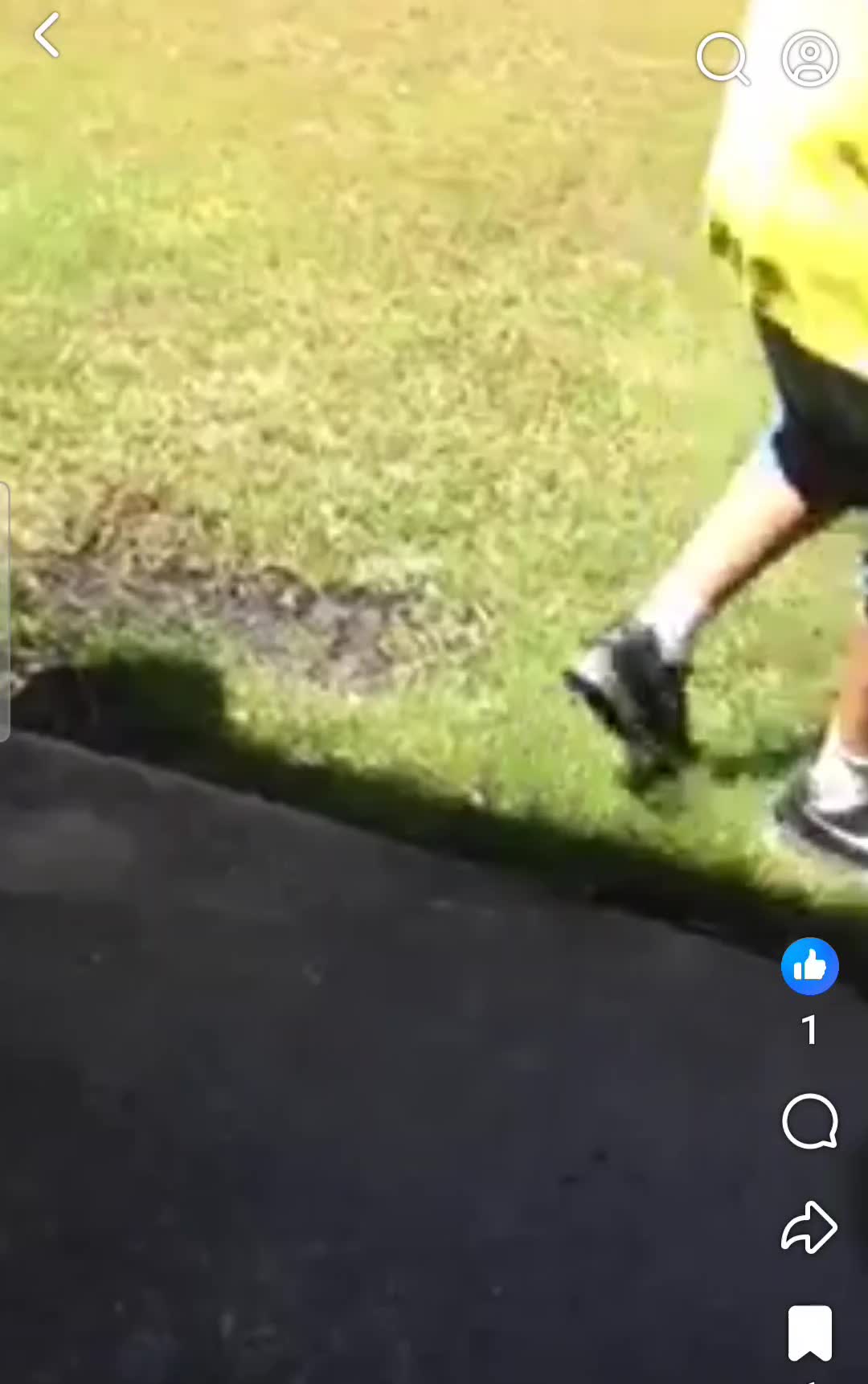 @unknown.mffffffff