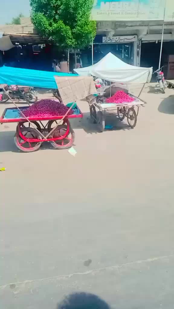 @soba jatoi