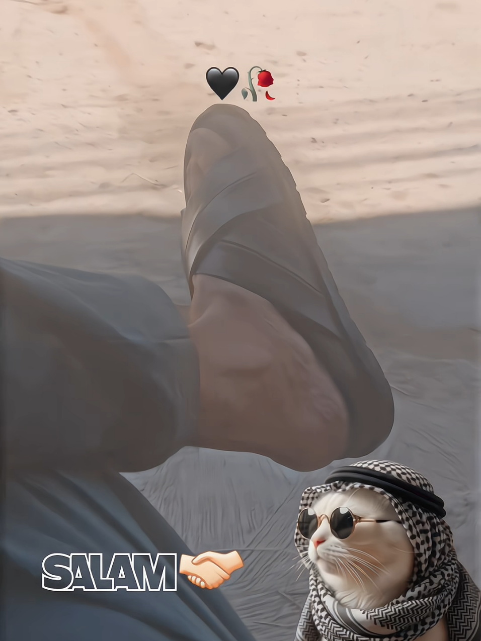 @سفیان مہلو3.22