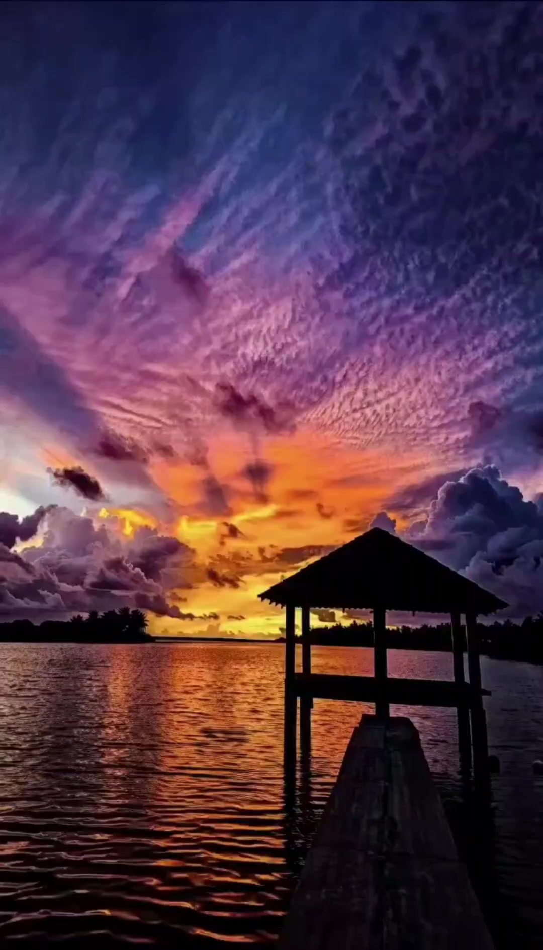 @Huvadhoo Real Asippe 🇲🇻🇵🇸