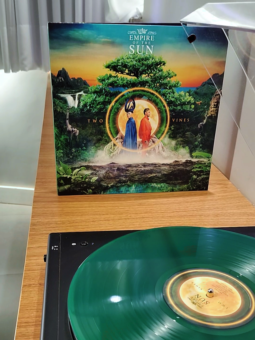 @vinylguycollector
