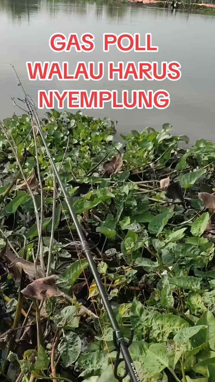 @SuryaGemilang