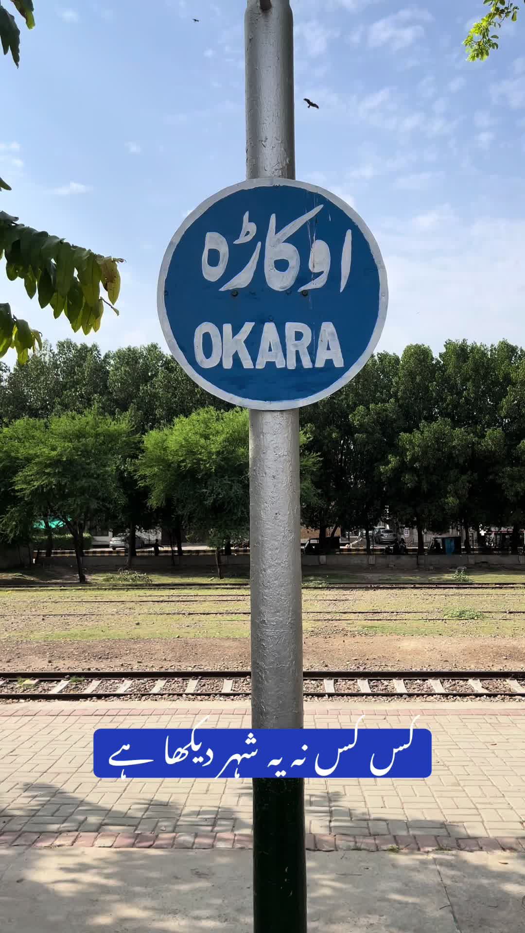 @Rehab Fatima 🇵🇰