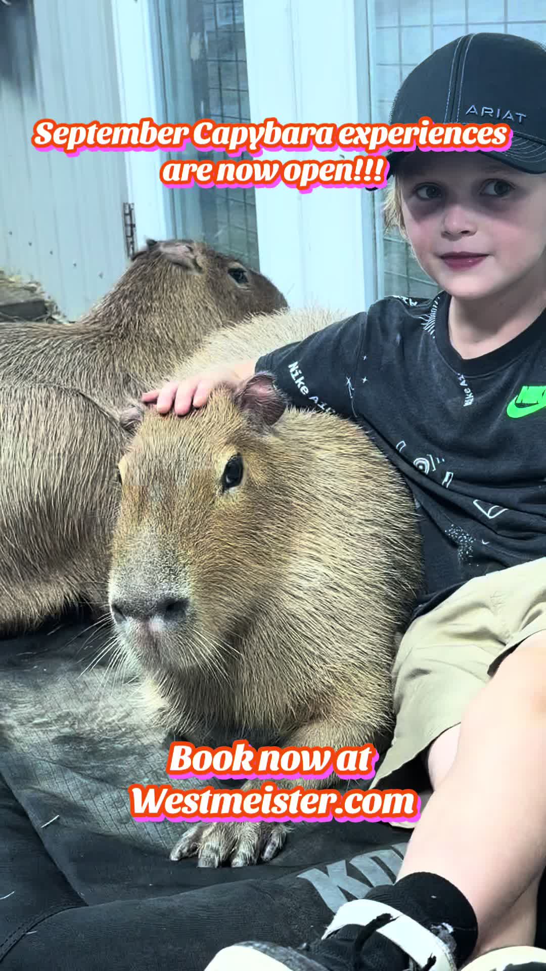 @Westmeister Farm