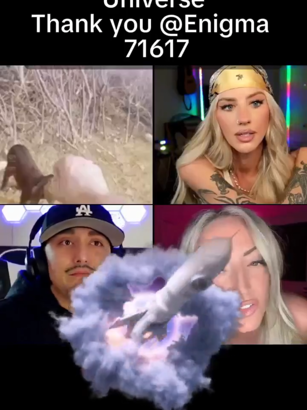 @Jani mafia gang
