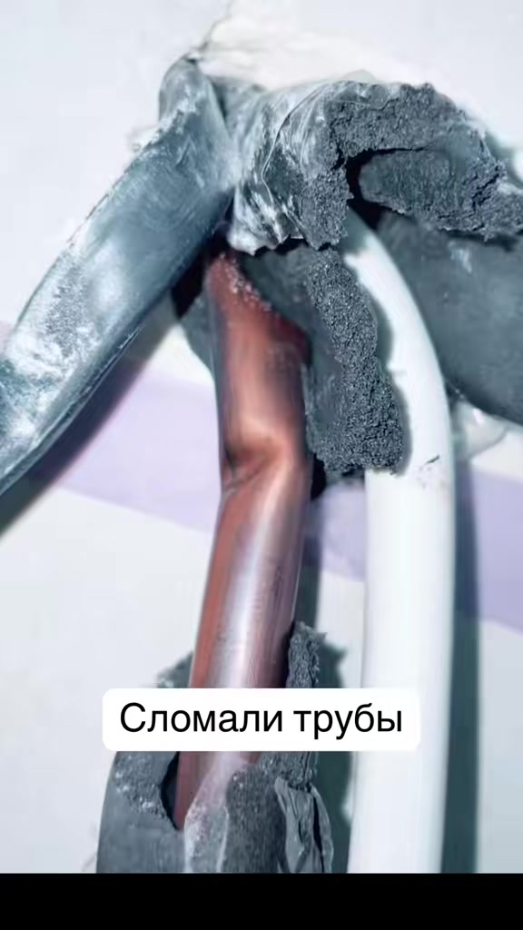 @Пашка_пашка