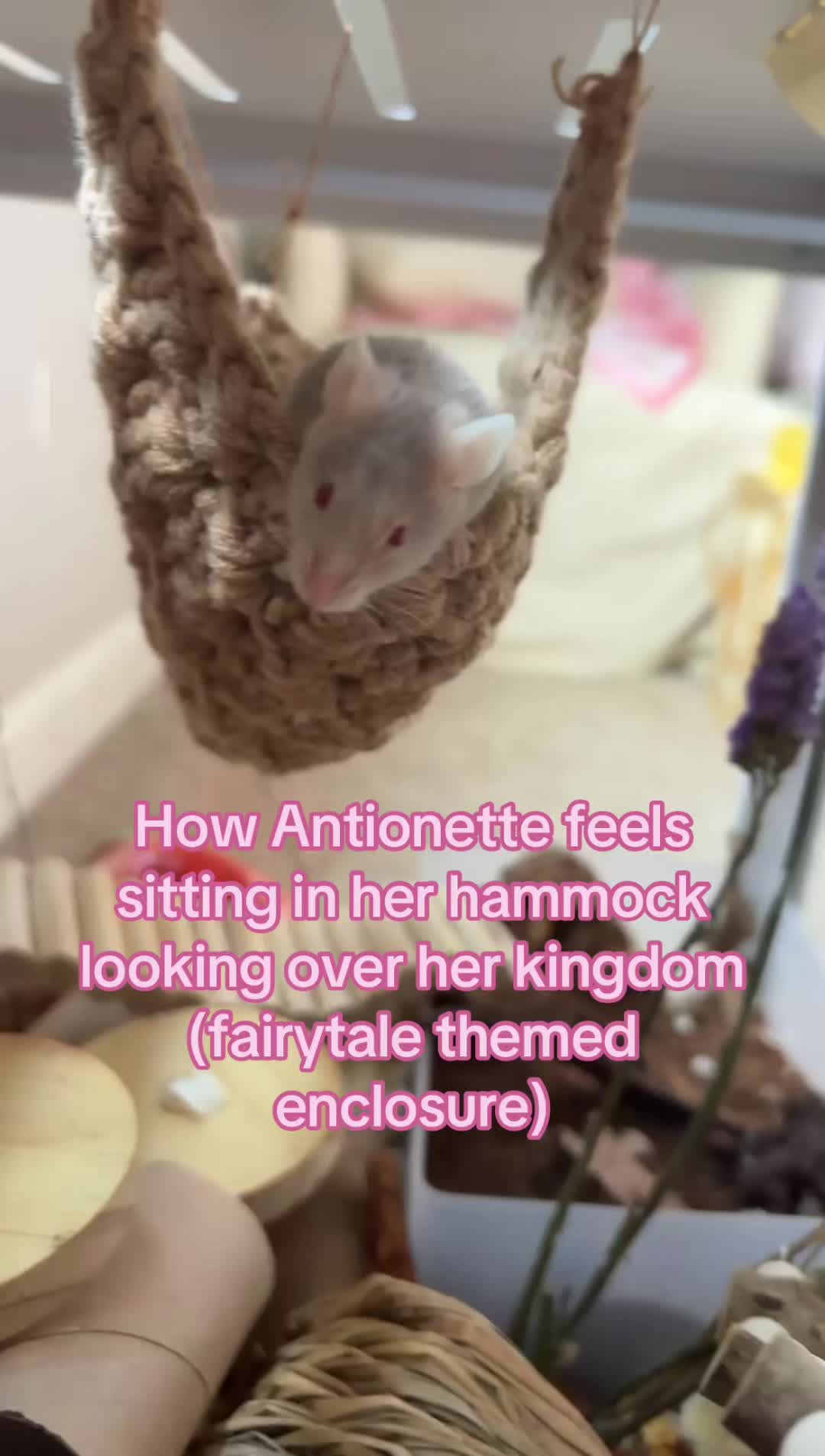 @thatweirdanimalgirl