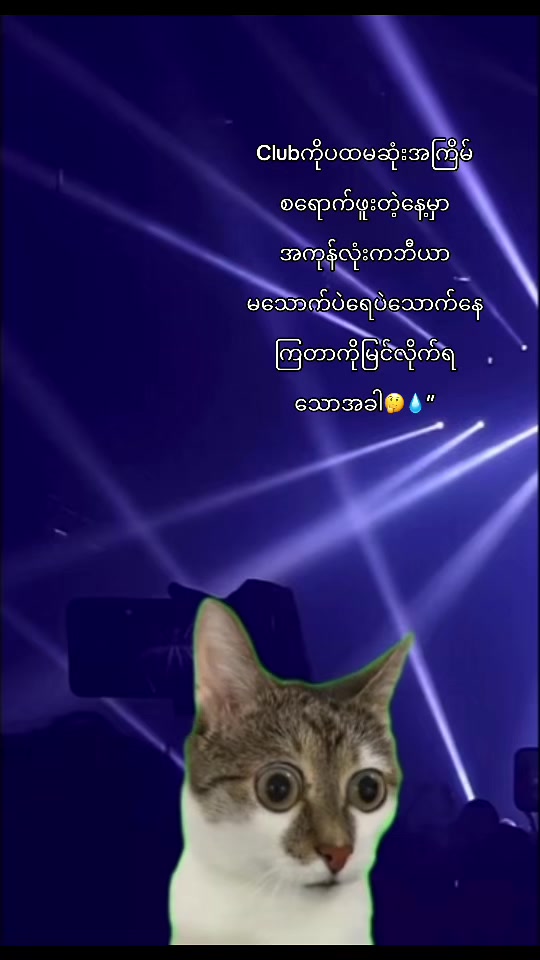 @Vibe of Yangon Nightlife