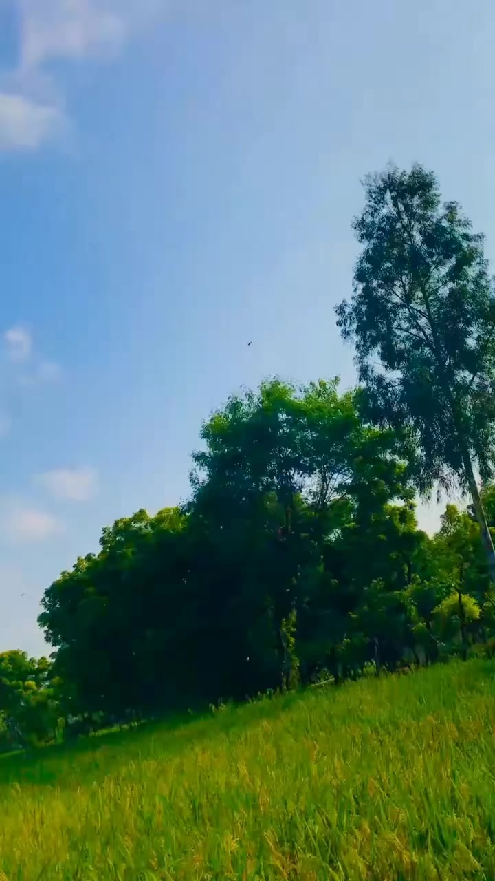 @𝙉𝙤𝙏 𝙮𝙤𝙪𝙍 𝘿𝙝𝙚𝙚𝙧𝙪😈