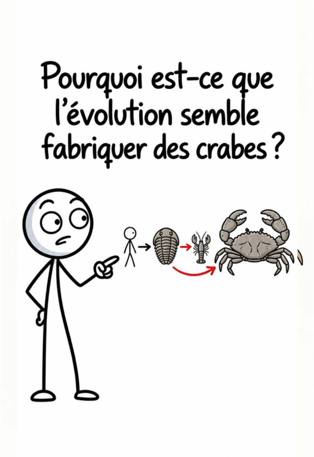 @¿StickCurieux?