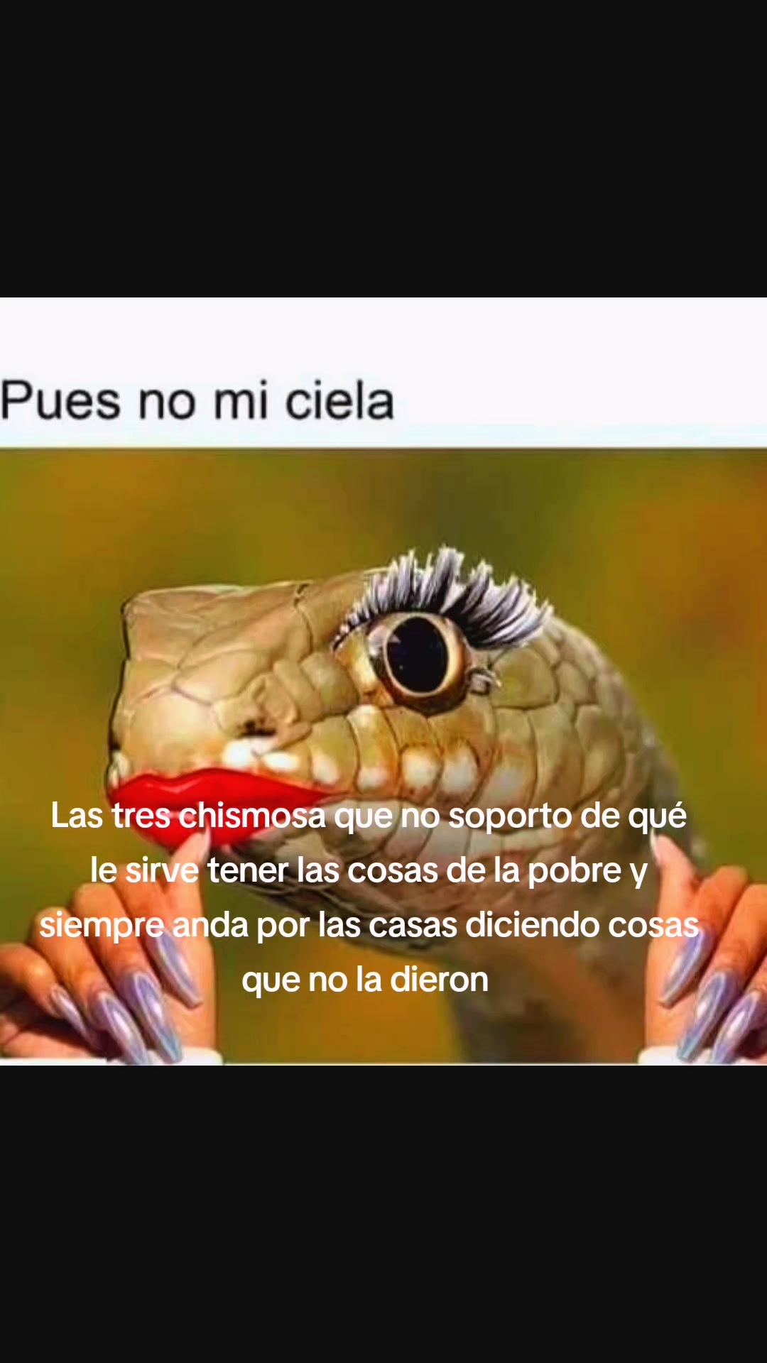 @yari asensio