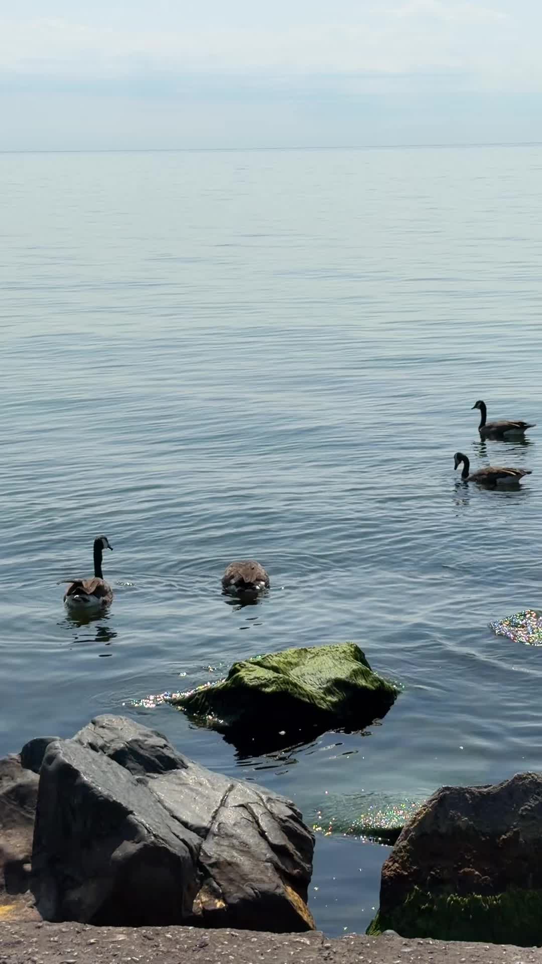 @Hehe