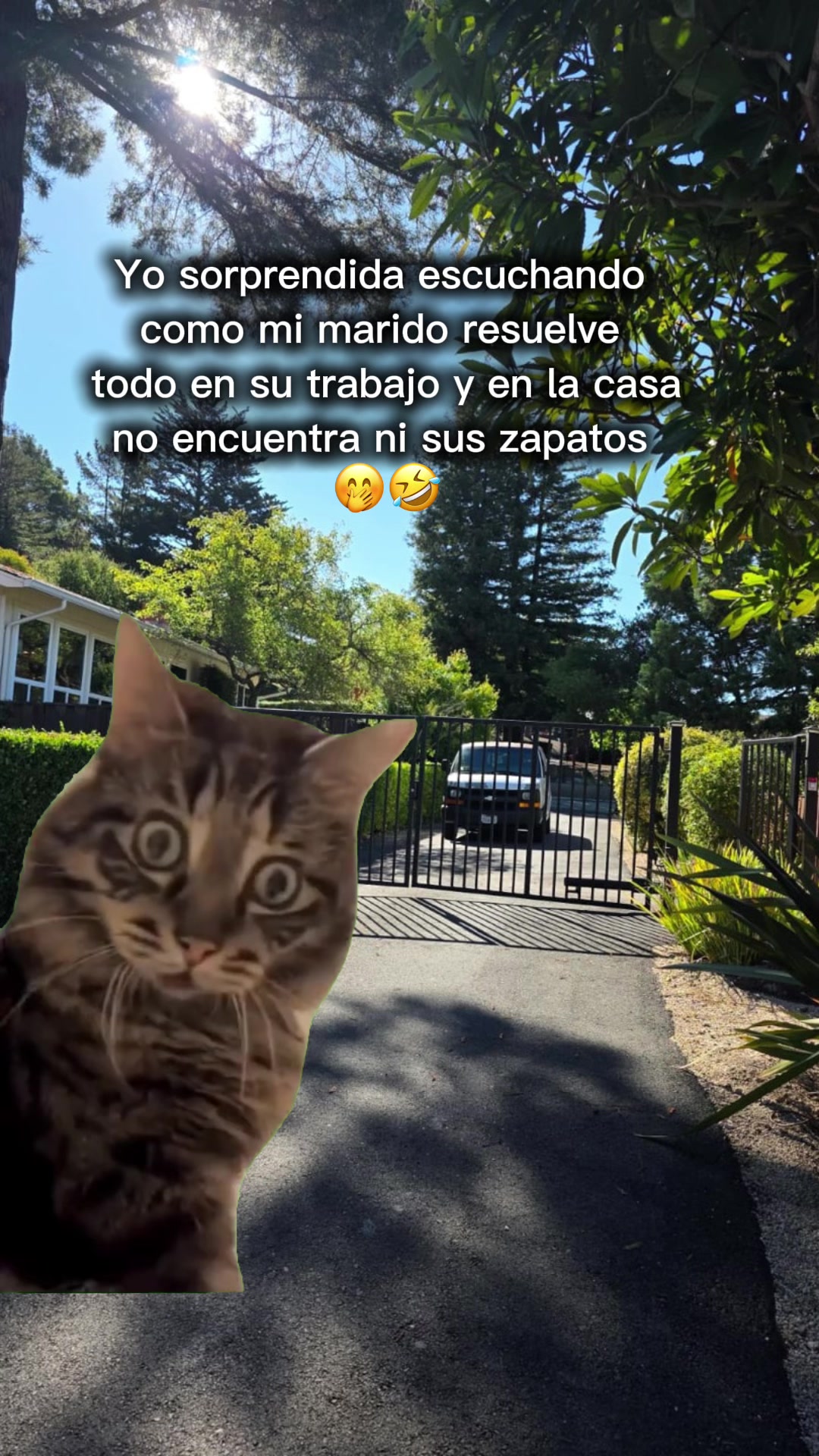 @🌸🦋Claudy🦋🌸