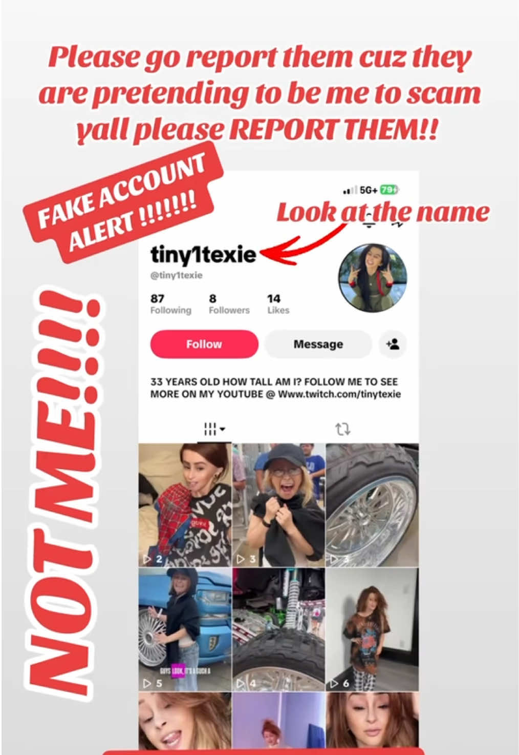 @Tinytexie