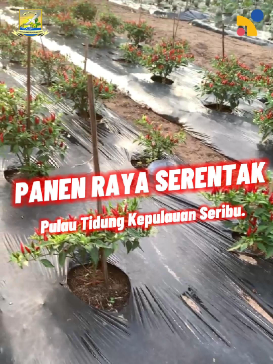 @RADIO RKS Kepulauan Seribu