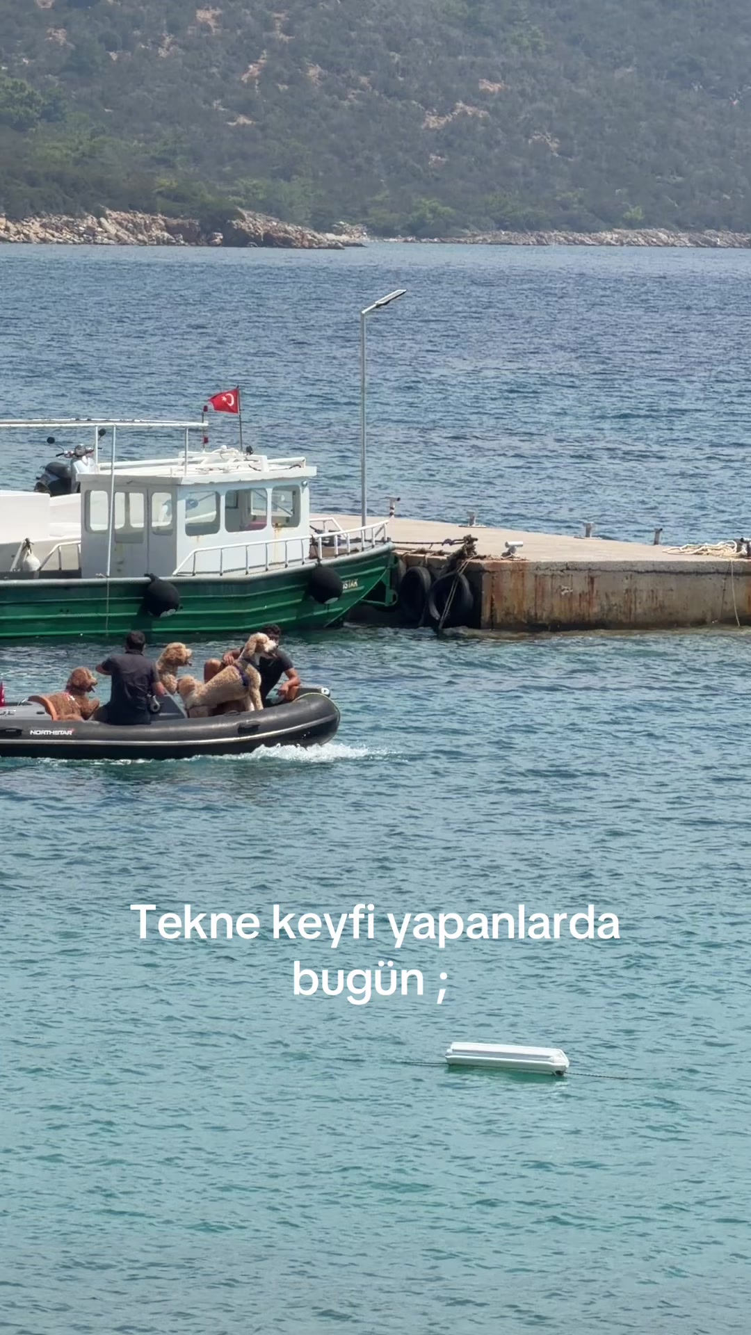 @Muğla Geyik